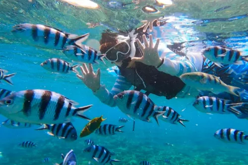Okinawa Blue Cave Snorkeling 4-Day Itinerary | The Perfect Plan for Marine Activities and Popular Attractions