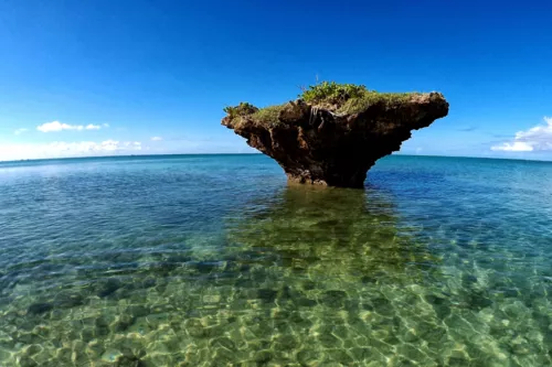 Okinawa Ishigaki Island 3-Day Beginner Itinerary | The Ultimate Guide to Must-Visit Attractions