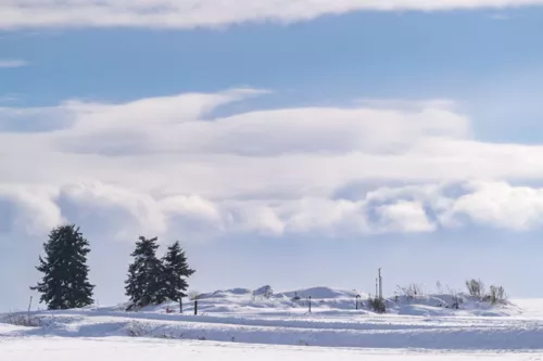 Hokkaido 4-Day Beginner Itinerary | The Perfect Sapporo, Biei, Furano & Otaru Trip