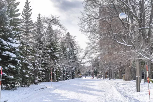 Hokkaido 3-Day Beginner Itinerary | The Perfect Sapporo & Otaru Highlights Trip