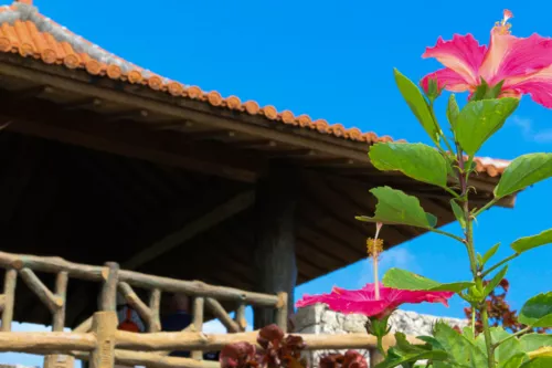 Ishigaki Island 4-Day Activity & Island-Hopping Itinerary | Manta Rays, Sea Turtles & Yubu Island Adventure