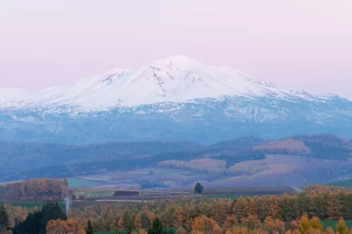 Asahikawa & Furano 4-Day Nature Healing Itinerary | Experience Hokkaido’s Snowy Landscapes & Great Outdoors