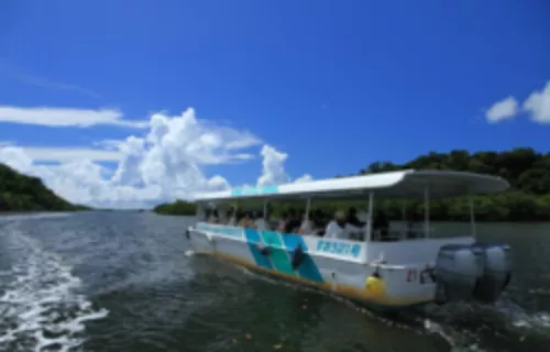 Ishigaki & Iriomote Island Tour