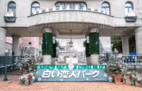 시로이코이비토 파크
