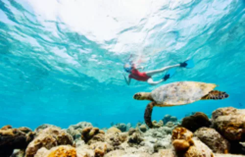 Miyakojima Activity Tour