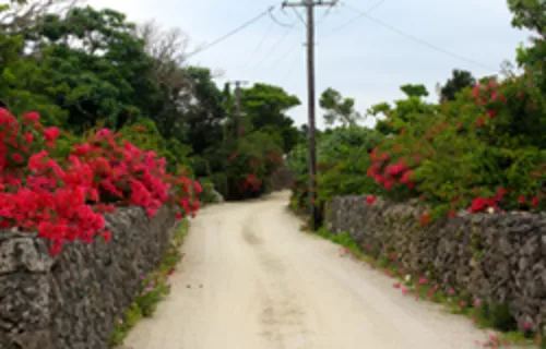Taketomi Island