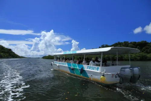 Ishigaki & Iriomote Island Tour