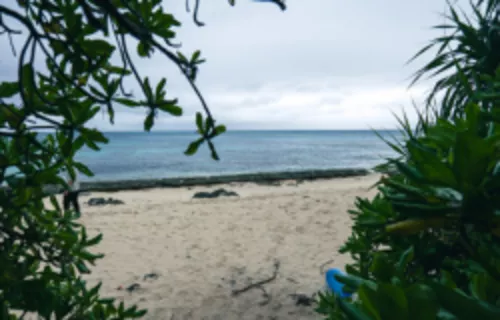 A hidden emerald beach cherished by locals, serene and beautiful